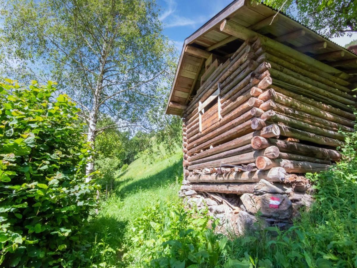 Cosy Holiday Home At The Wildkogel Bramberg am Wildkogel Bagian luar foto